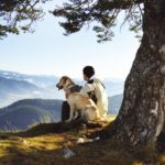 Љубимци утичу на здравље: Власници паса дуже живе